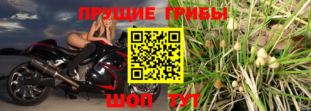 Галлюциногенные грибы Magic Shrooms Канск
