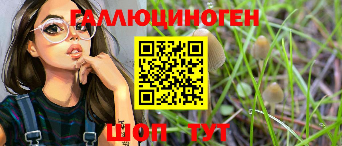 Канск  Галлюциногенные грибы GOLDEN TEACHER  Вход с VPN  купить наркоту  Псилоцибиновые грибы Psilocybine cubensis 