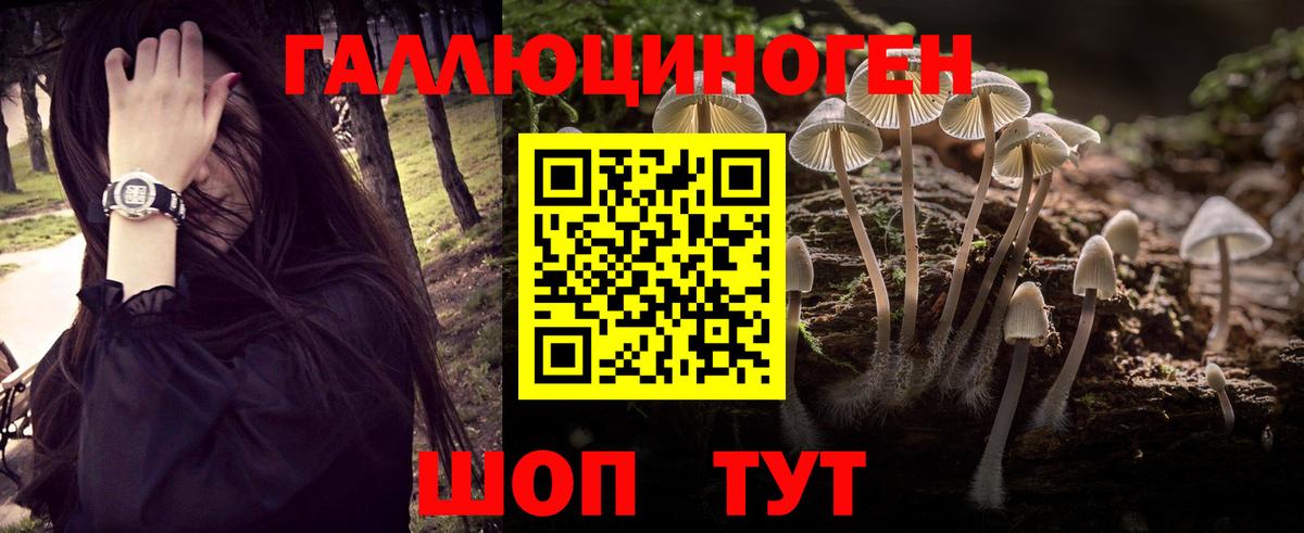 Галлюциногенные грибы Канск